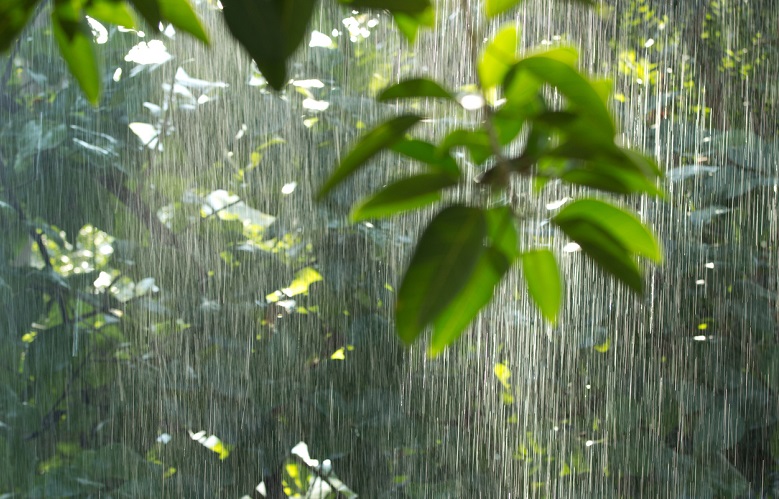 Как сменить аэратор в гибком смесителе АУРА 8105 - mypremial.ru